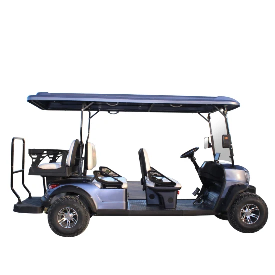 Carrello da golf elettrico a 2/4/6/8/10 posti/sedile/passeggero con batteria al piombo/litio, buggy da golf, carrello da golf, auto da club con vano portaoggetti per sedile posteriore pieghevole con CE e DOT