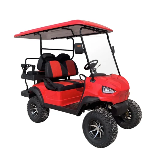 Produttore cinese all'ingrosso 100/120 km chilometraggio batteria al piombo/litio 48 V/60 V/72 V 2, 4, 6, 8, 10 posti/carrello da golf da caccia/buggy/auto, club car