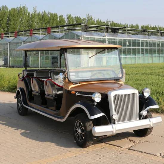 11 posti, l'auto elettrica da turismo più calda, comoda ed elegante