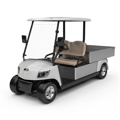 Carrello da golf elettrico per veicoli commerciali elegante alimentato a batteria da 48 V per autoveicoli con due posti per campi da golf (DG-M2+Cargo Box)